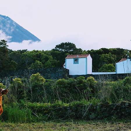 فيلا Casa Do Paim São Roque do Pico المظهر الخارجي الصورة