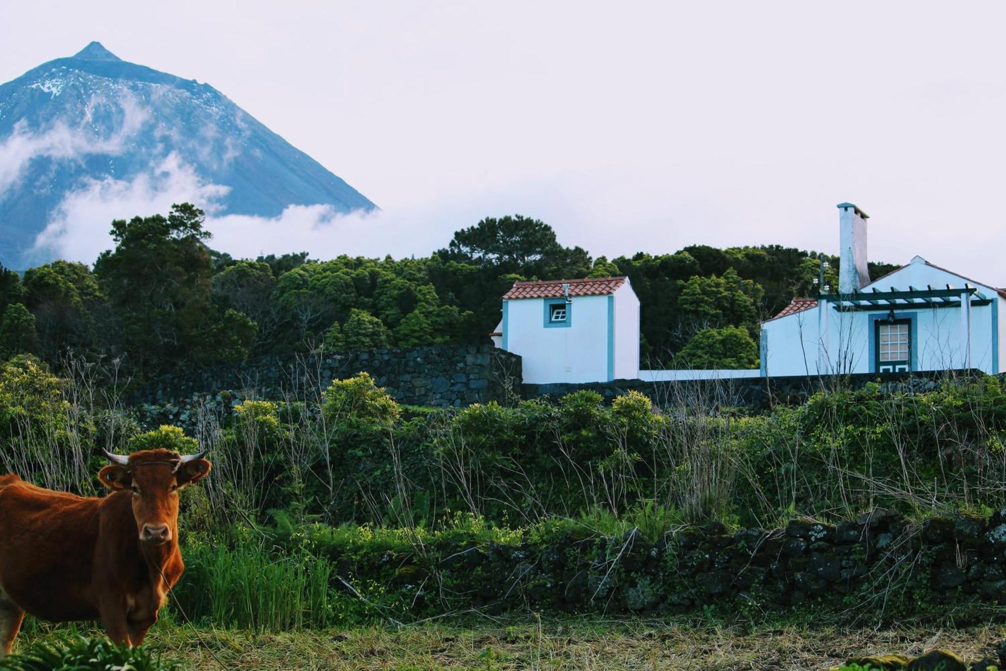 فيلا Casa Do Paim São Roque do Pico المظهر الخارجي الصورة