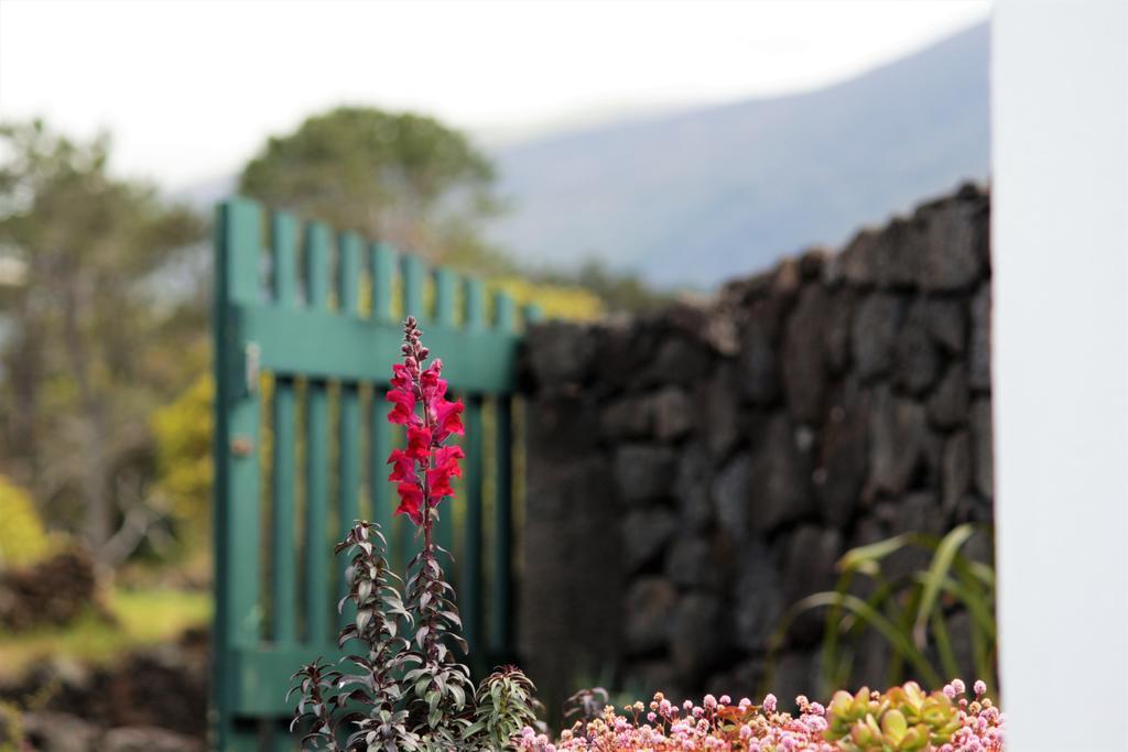 فيلا Casa Do Paim São Roque do Pico المظهر الخارجي الصورة