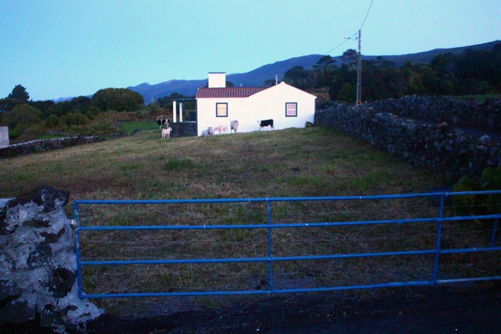 فيلا Casa Do Paim São Roque do Pico المظهر الخارجي الصورة