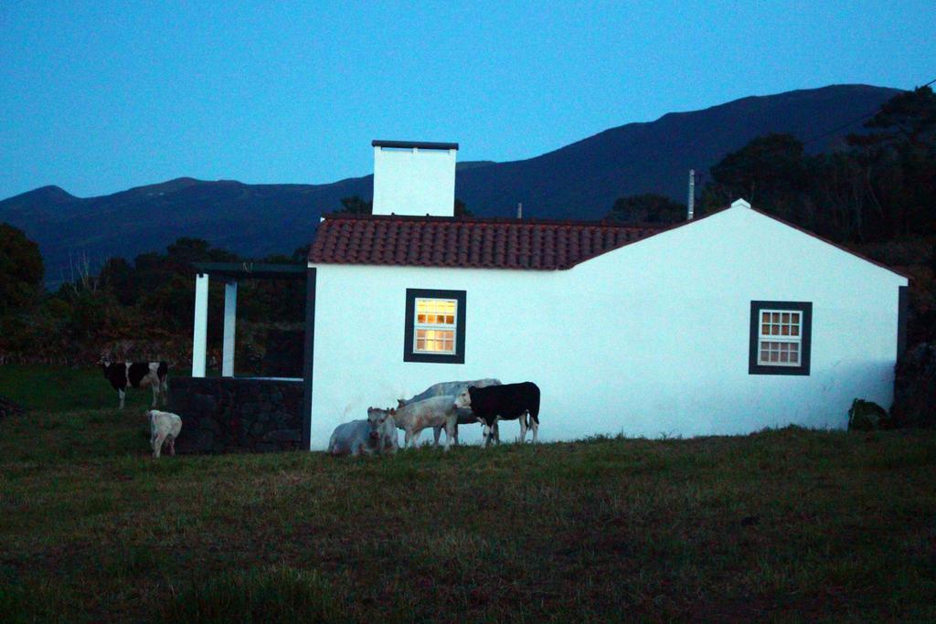 فيلا Casa Do Paim São Roque do Pico المظهر الخارجي الصورة