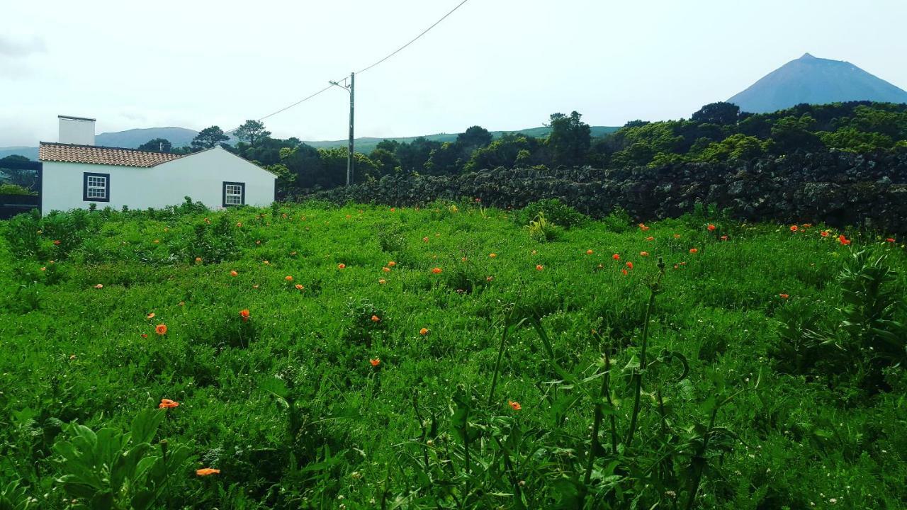 فيلا Casa Do Paim São Roque do Pico المظهر الخارجي الصورة