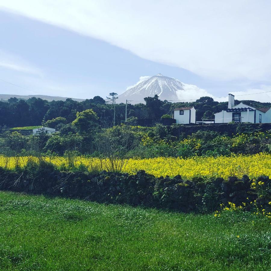 فيلا Casa Do Paim São Roque do Pico المظهر الخارجي الصورة